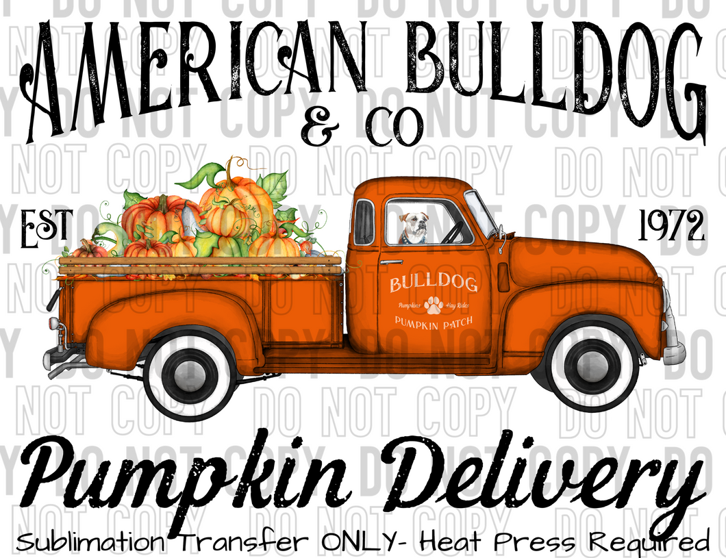 American Bulldog Dog Pumpkin Delivery Sublimation Transfer