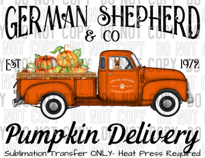 German Shepard Dog Pumpkin Delivery Sublimation Transfer