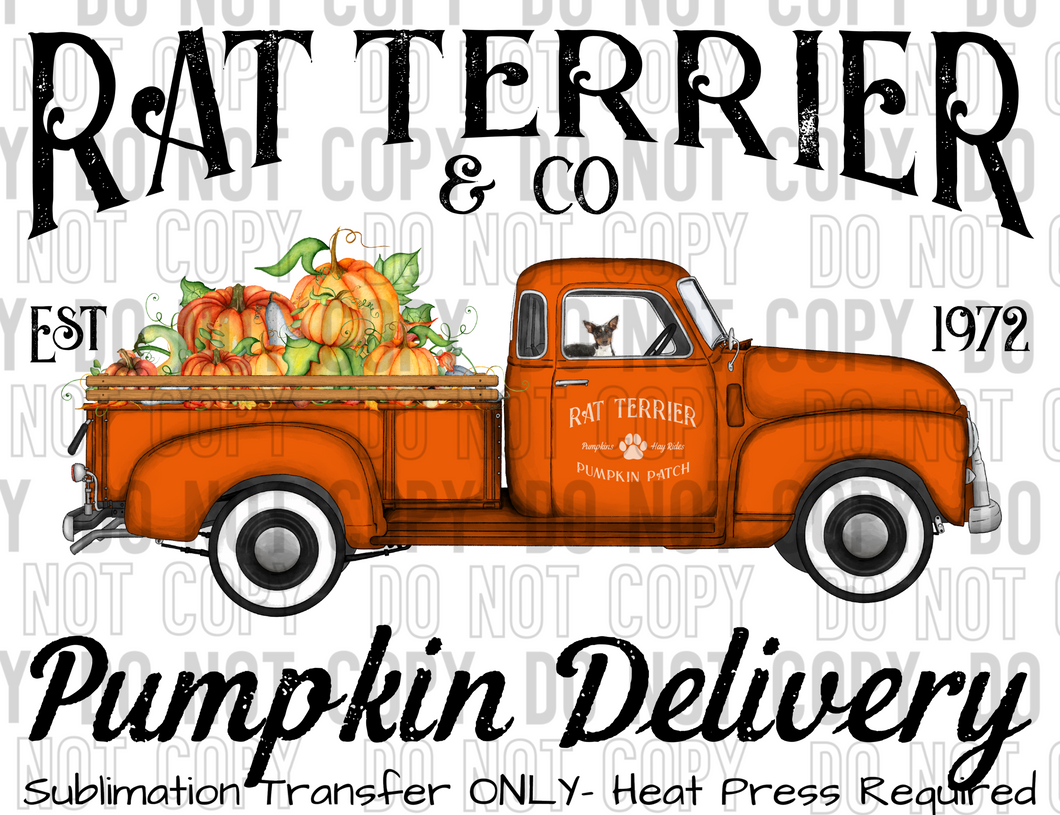 Rat Terrier Dog Pumpkin Delivery Sublimation Transfer